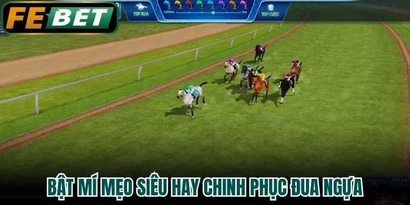 Bật mí mẹo siêu hay chinh phục đua ngựa