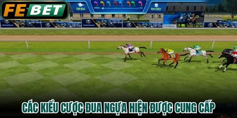 Các kiểu cược đua ngựa hiện được cung cấp