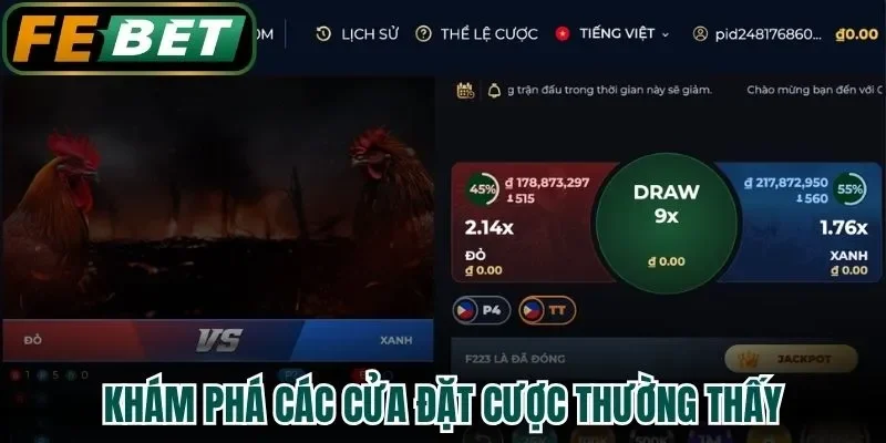 Khám phá các cửa đặt cược thường thấy
