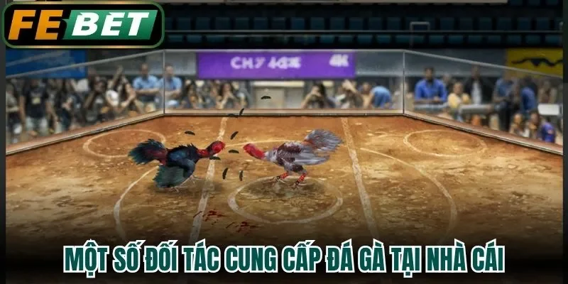 Một số đối tác cung cấp đá gà tại nhà cái