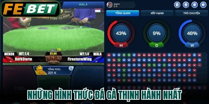 Những hình thức đá gà thịnh hành nhất