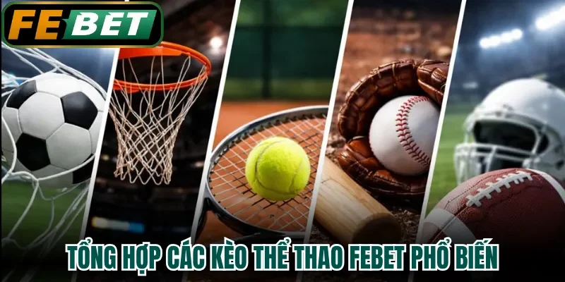 Tổng hợp các kèo thể thao FEBET phổ biến